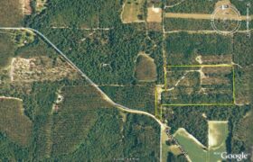 106.692 Acres Taylor County/NEW PRICE