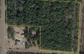 Pretty heavily wooded 15 acre country property