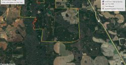 3442 (+-) acres Kinchafoonnee Forest and Farm