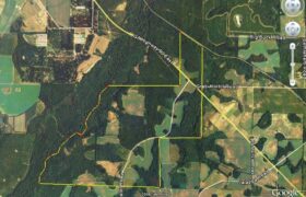 450 ac. (+-) Dooly county! Major creek, fields, timber, some cutover-Trophy Whitetail