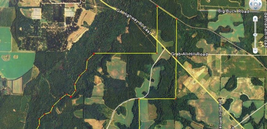 450 ac. (+-) Dooly county! Major creek, fields, timber, some cutover-Trophy Whitetail