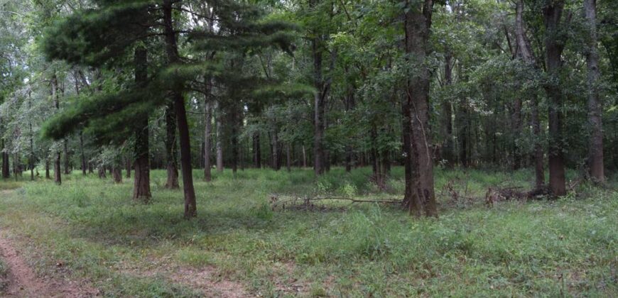 70+- acres Flint River Hunting