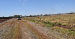 Sumter County Georgia Irrigated