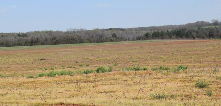 Sumter County Georgia Irrigated