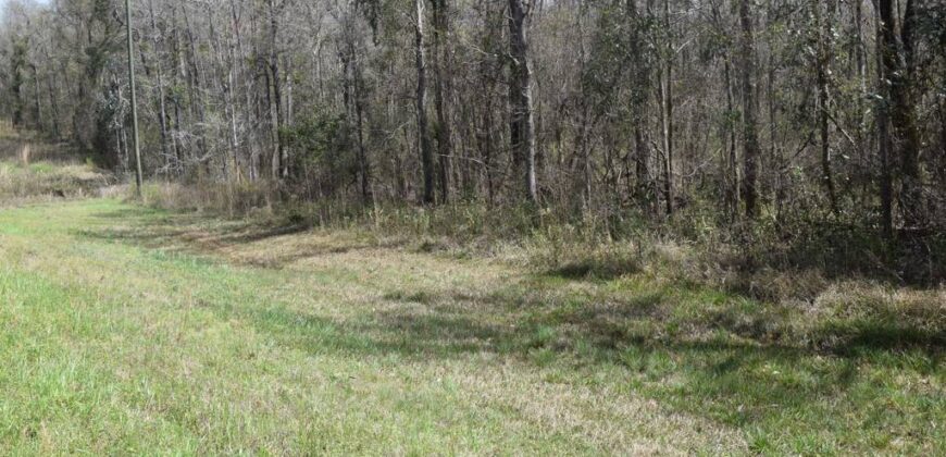 Sumter County Georgia Irrigated