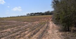 Sumter County Georgia Irrigated