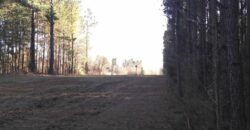 69+- acres Peach County Georgia