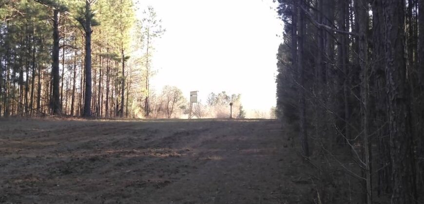 69+- acres Peach County Georgia