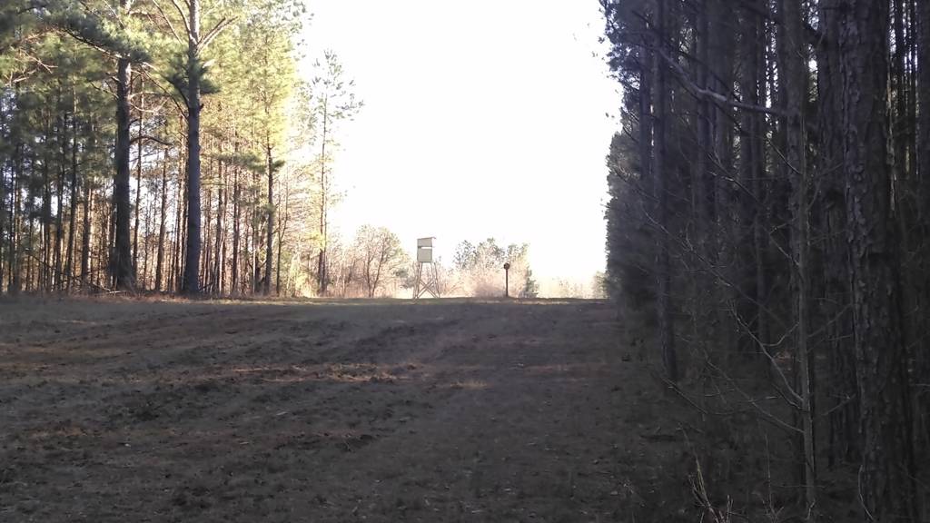 69+ acres Peach County Southern Rivers Properties