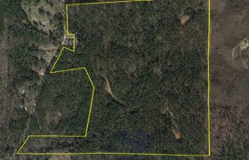 Small Hunting Tract with investment grade timber