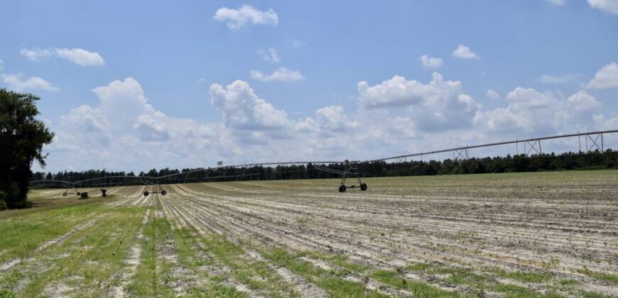 151+- acres Crisp County Irrigated Farm Land