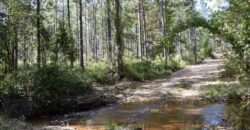 Gorgeous 279 (+-) acres Double Creek frontage with great timber investment merit