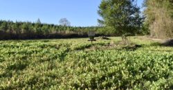 115+- acres Farm Land Sanctuary