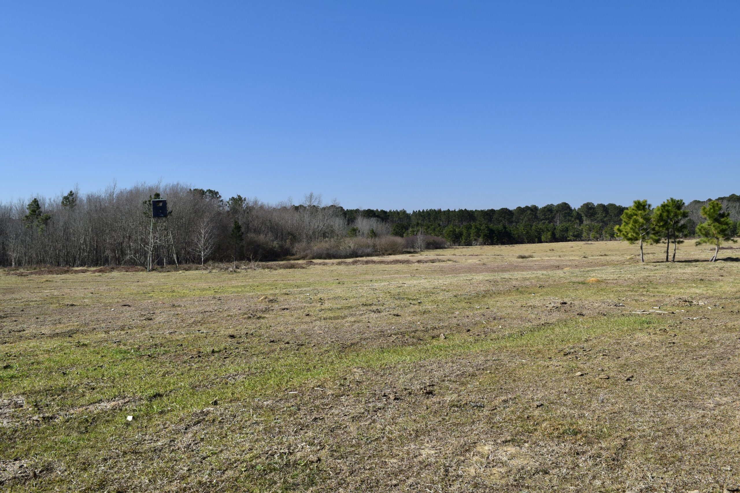 Middle Georgia Pasture and Hunting