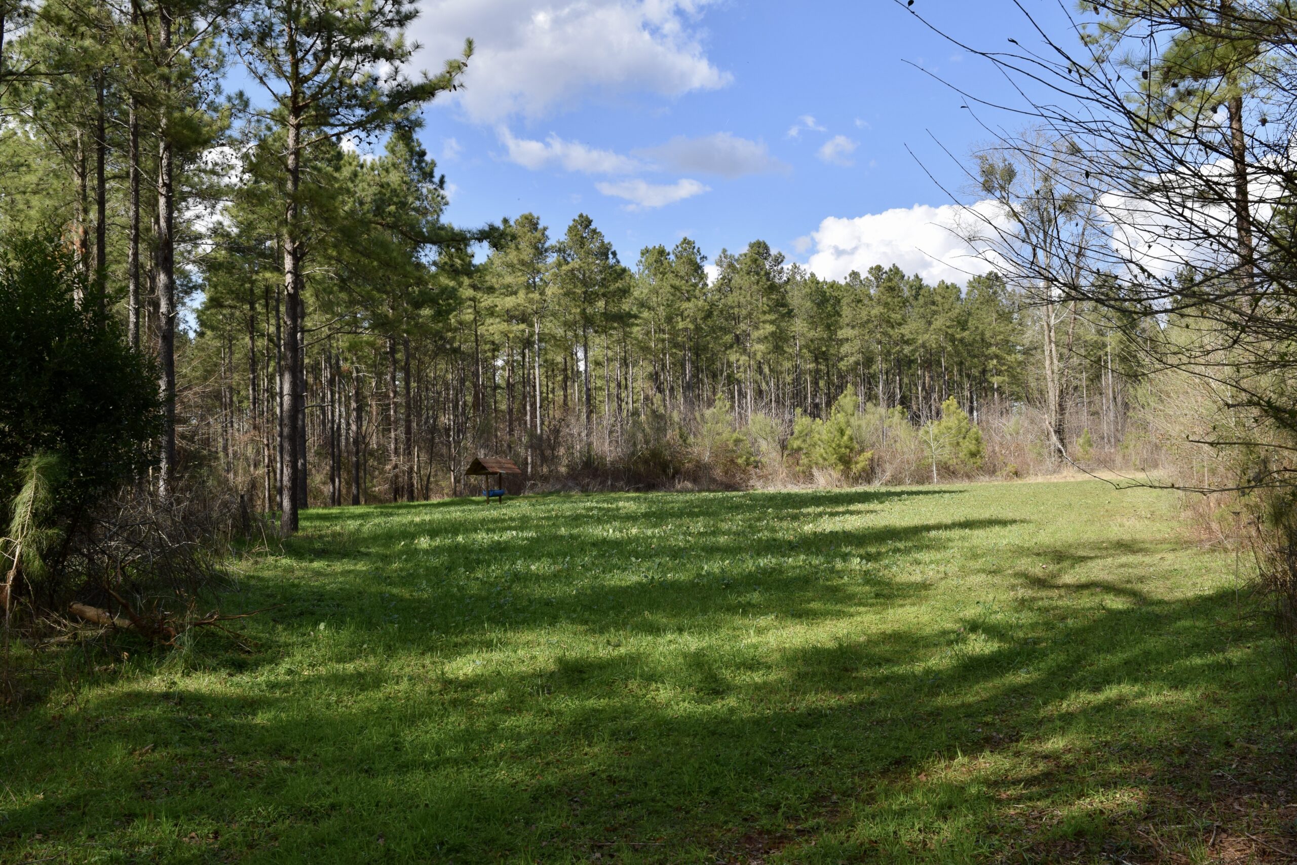 Hog Crawl Creek Farm