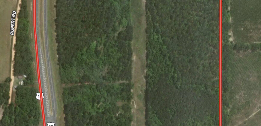 Taylor County Timber/Hunting Property