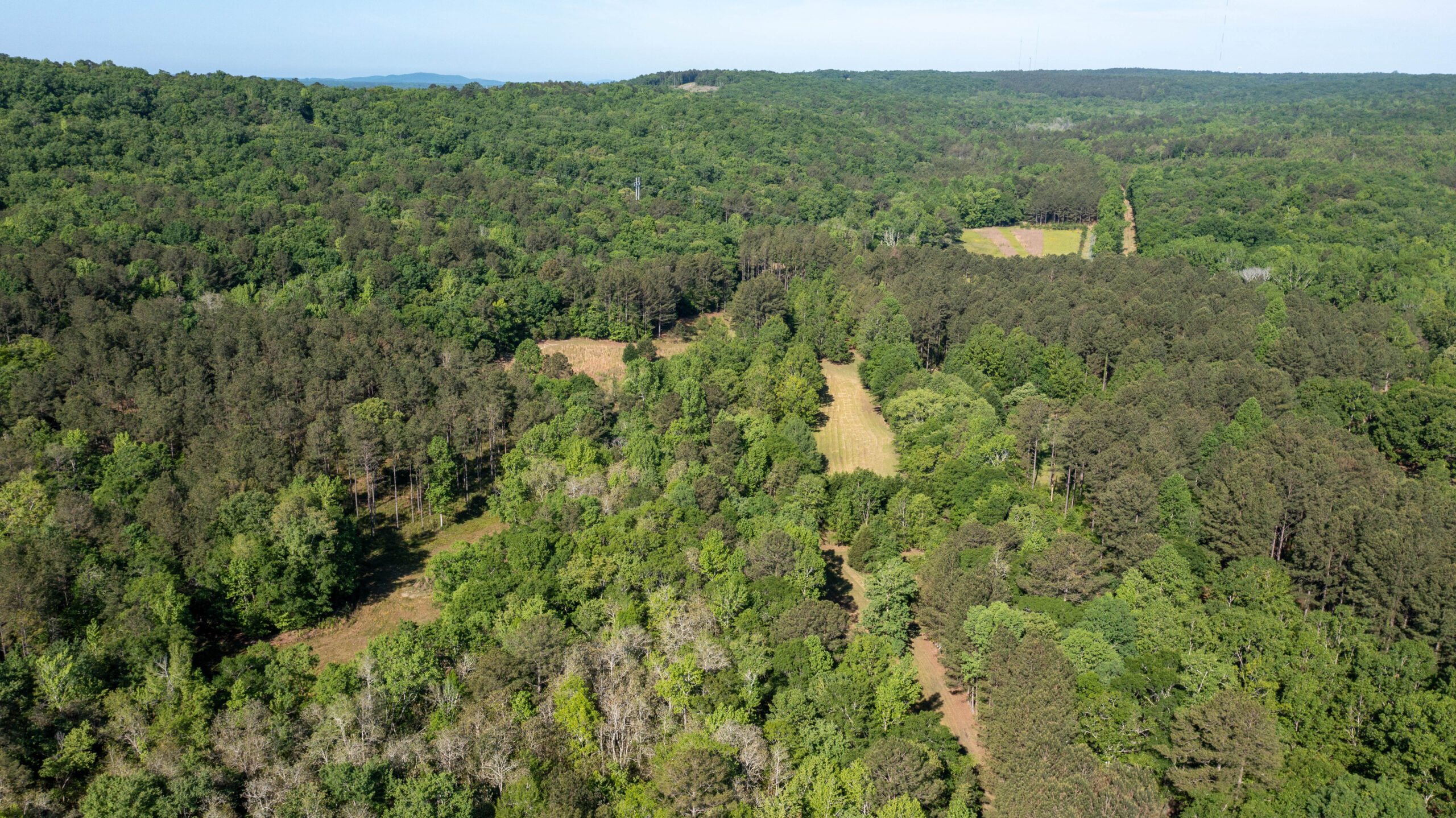 “Twin Creeks Farm South”