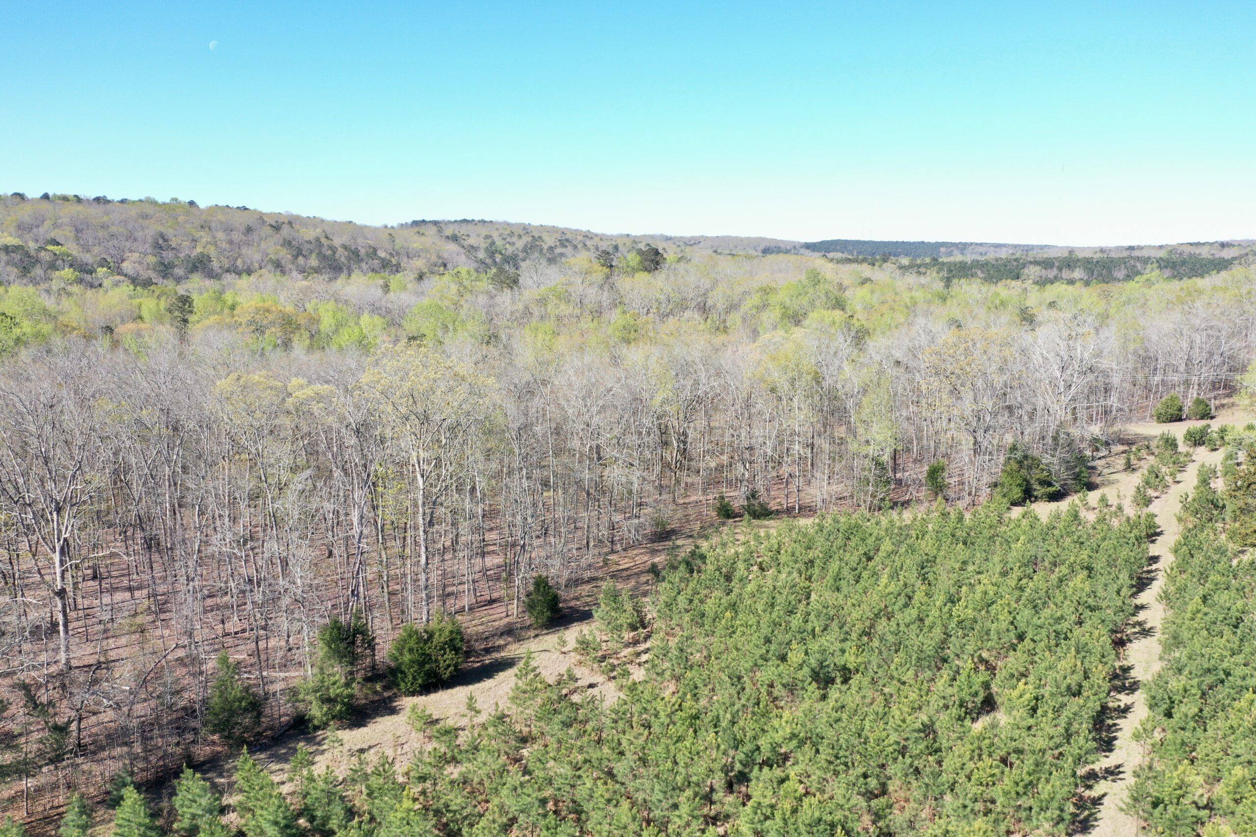 “Cooler Branch Creek Mini Farm”