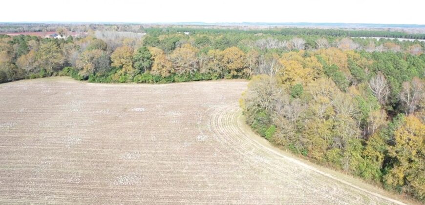 Fraser Branch Farm