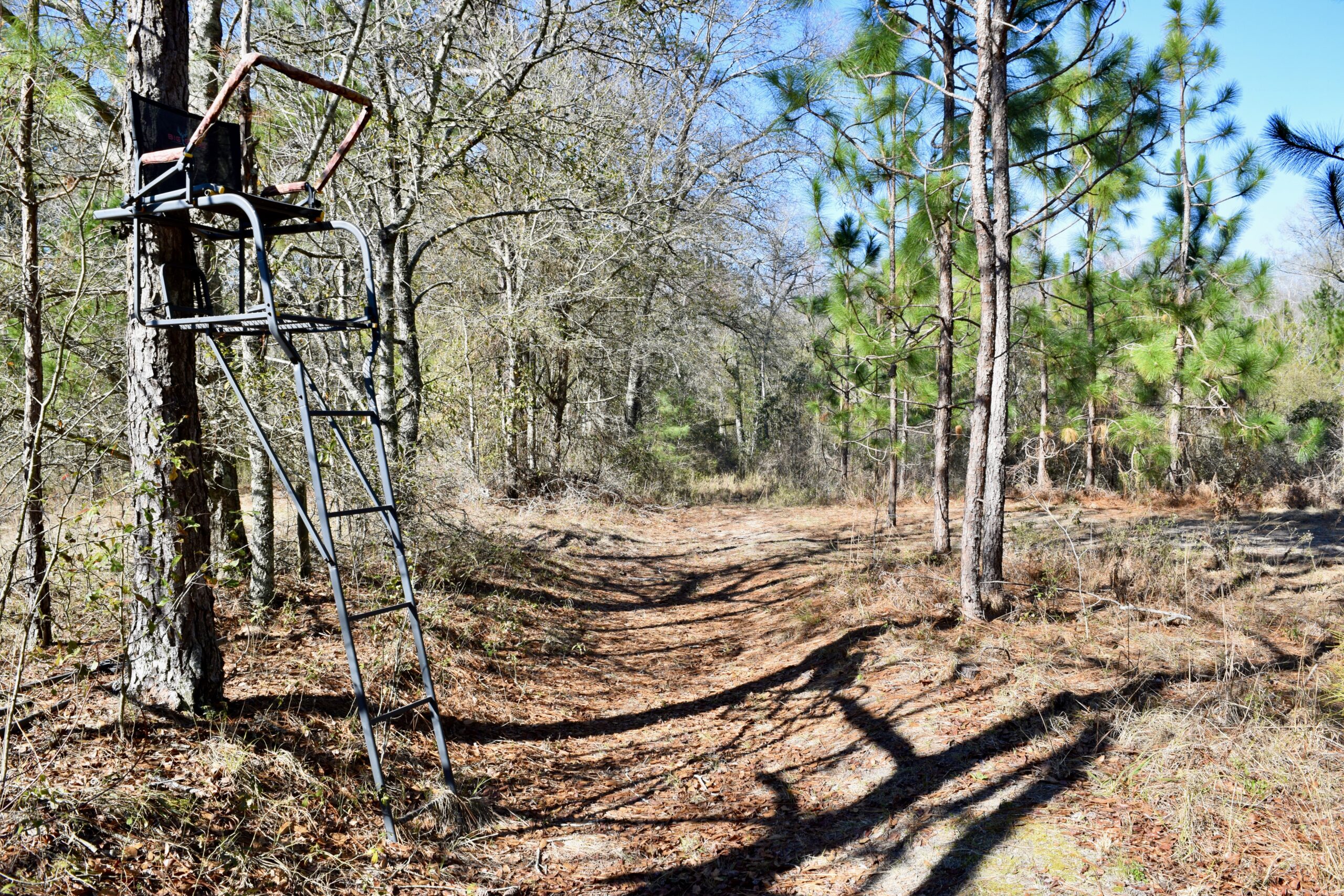 Turner County Longleaf Farm Southern Rivers Properties