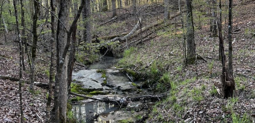 South Fork Creek Property