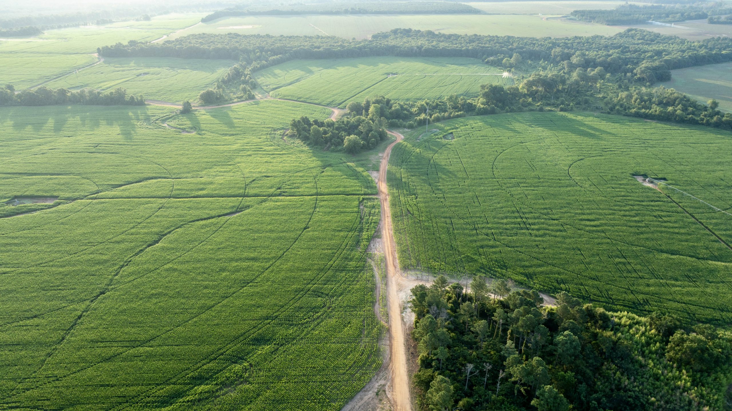 Sumter Irrigated Farm