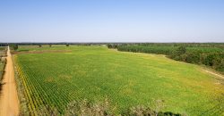 Fanns Bridge Road Farm