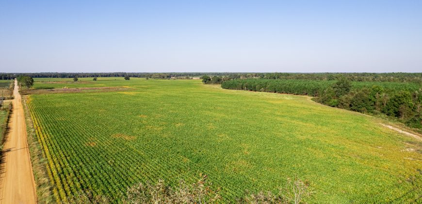 Fanns Bridge Road Farm