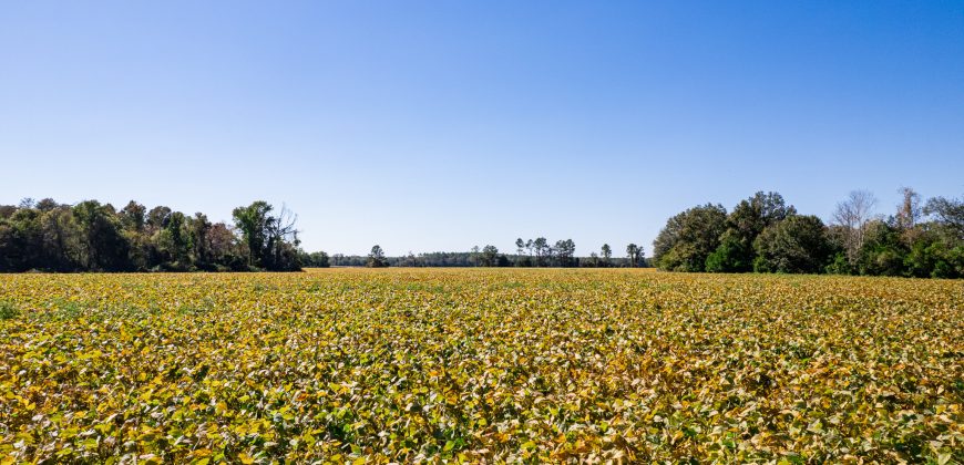 Fanns Bridge Road Farm