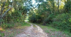 Quail Country Plantation