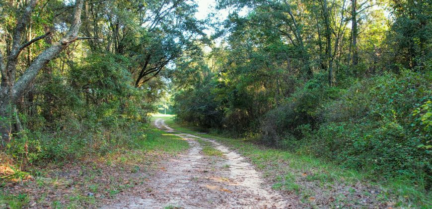 Quail Country Plantation