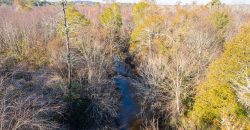 Big Sandy Creek Farm