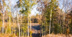 Big Sandy Creek Farm