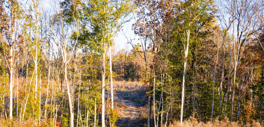 Big Sandy Creek Farm