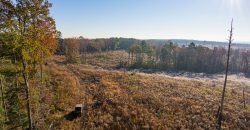 Big Sandy Creek Farm