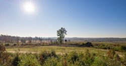 Big Sandy Creek Farm