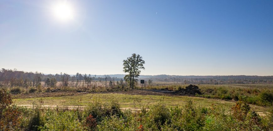 Big Sandy Creek Farm