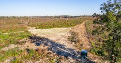 Big Sandy Creek Farm