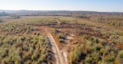 Big Sandy Creek Farm