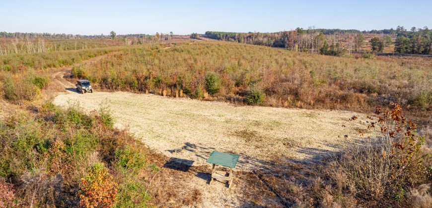 Big Sandy Creek Farm