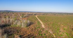 Big Sandy Creek Farm