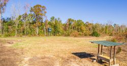 Big Sandy Creek Farm