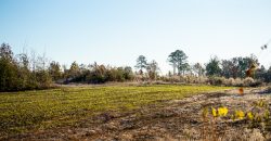 Big Sandy Creek Farm