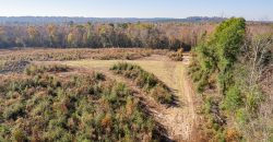 Big Sandy Creek Farm