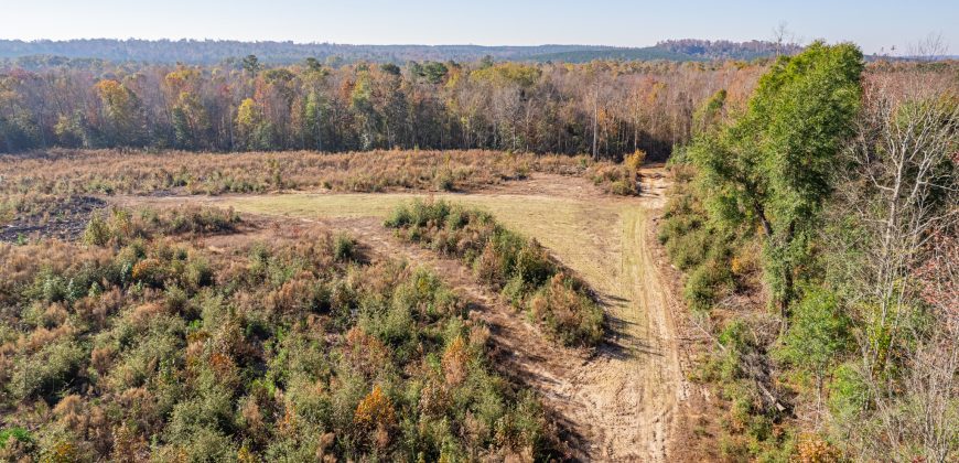 Big Sandy Creek Farm