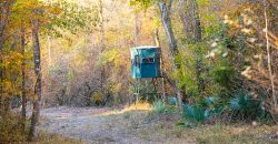 Big Sandy Creek Farm