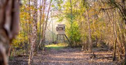 Big Sandy Creek Farm