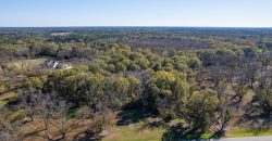 Lee County Pecan Orchard