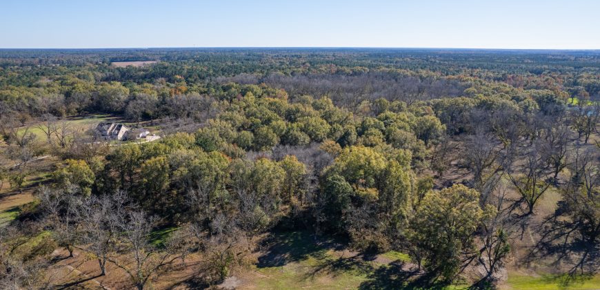 Lee County Pecan Orchard