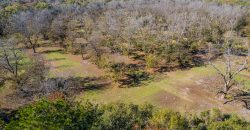 Lee County Pecan Orchard